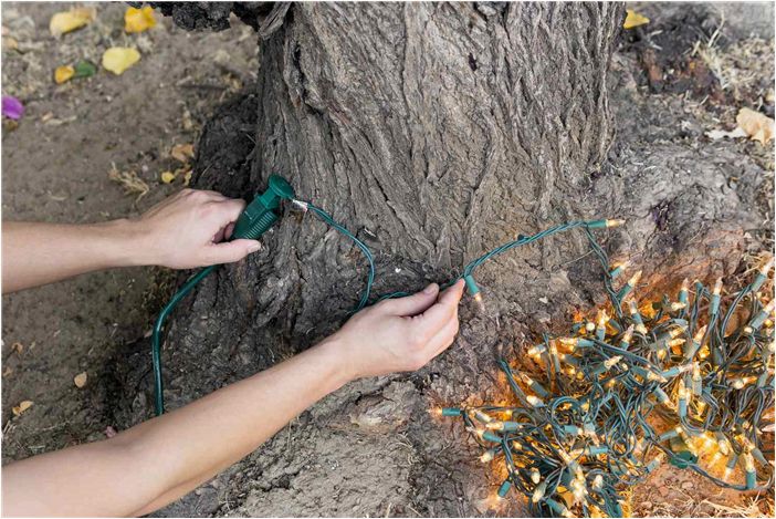 Как украсить деревья наружным освещением