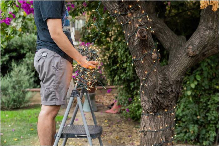 Как украсить деревья наружным освещением