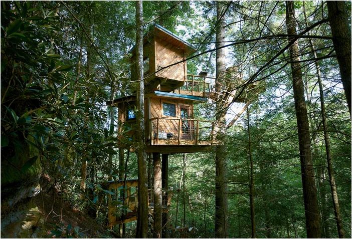 18 потрясающих идей домиков на деревьях