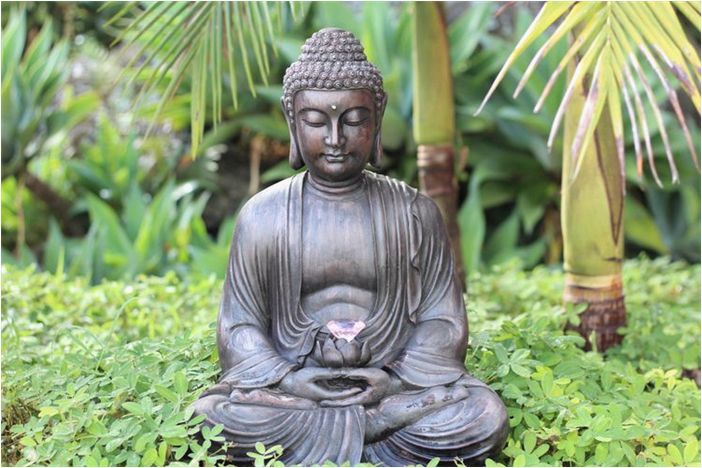 Буддийские мудры (жесты рук) и их значения